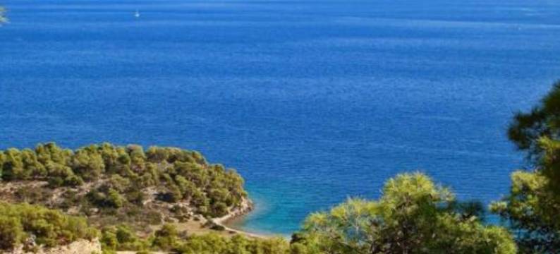 萨洛尼斯酒店(Saronis Hotel)图片