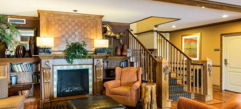 舒适套房酒店(Comfort Inn & Suites)图片