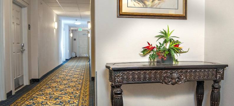 比灵斯贝斯特韦斯特SureStay Plus酒店(SureStay Plus Hotel by Best Western Billings)图片