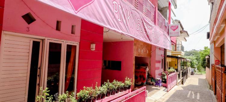 粉红旅馆(Pinky Guest House)图片