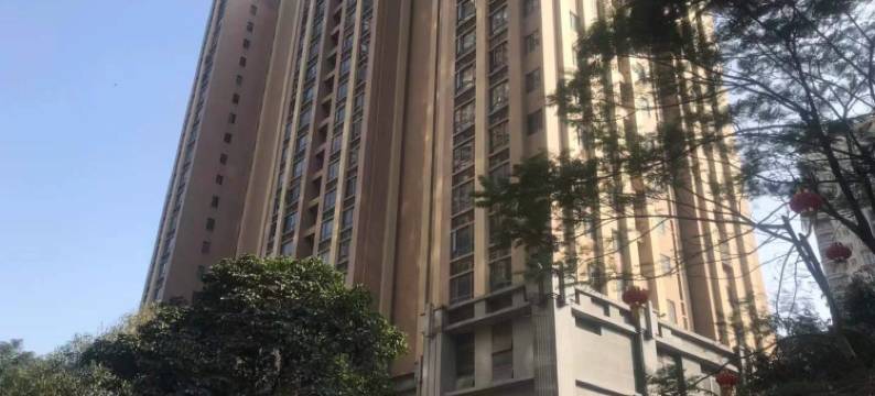 谢小姐的家公寓(金砂东路3号分店)图片