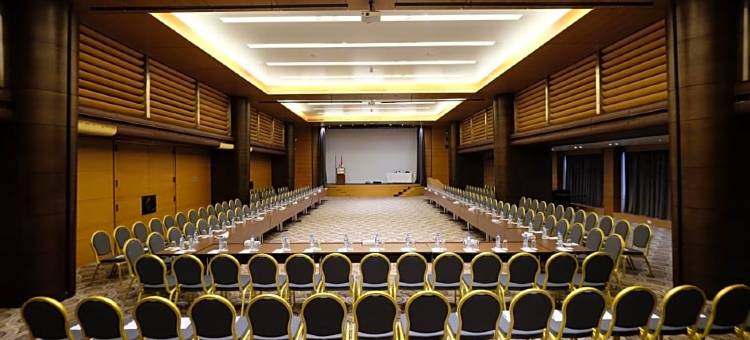 贝鲁特凡尔登丽笙酒店(Radisson Blu Hotel, Beirut Verdun)图片