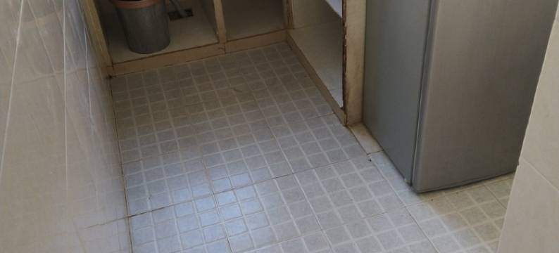 房东老金老金公寓(嘎海路分店)图片