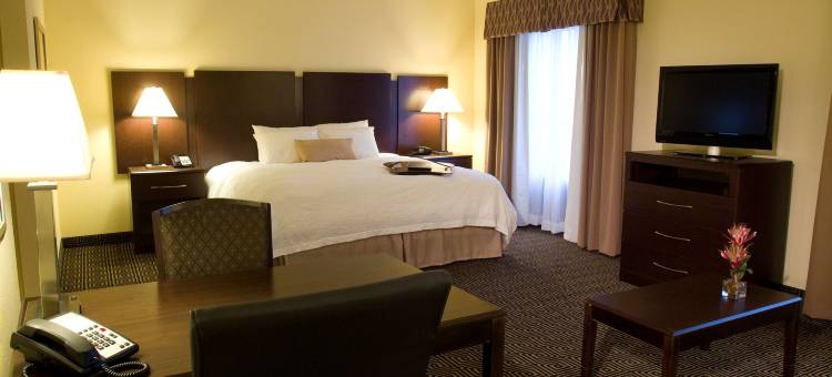 奥兰多约翰杨大路/南公园欢朋套房酒店(Hampton Inn & Suites Orlando-John Young Pkwy/S Park)图片