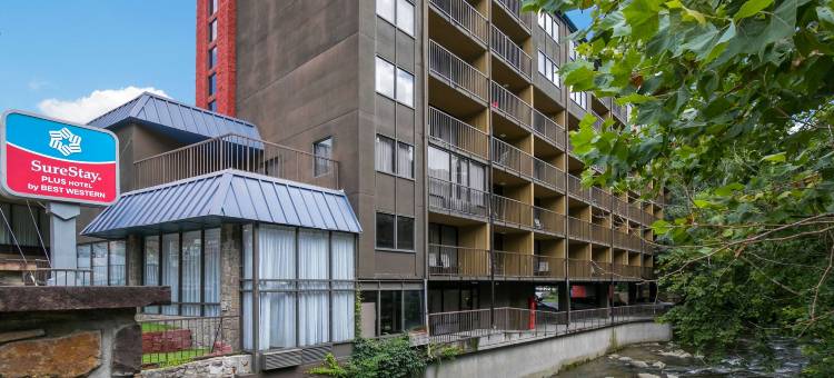 加特林堡贝斯特韦斯特SureStay Plus酒店(SureStay Plus Hotel by Best Western Gatlinburg)图片