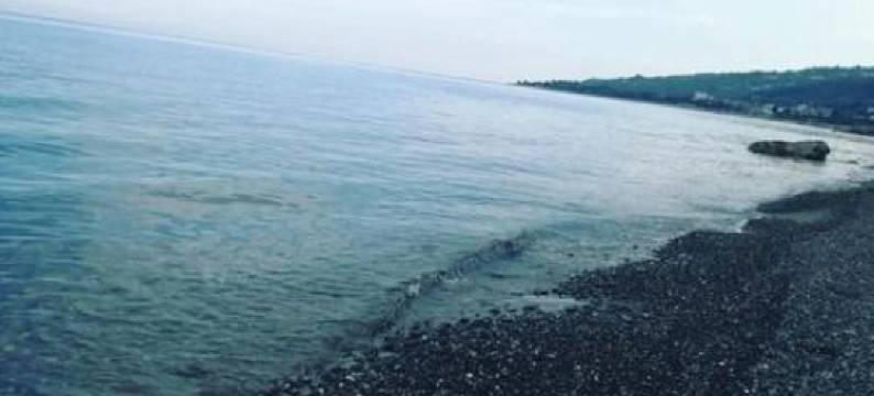 La Casa Al Mare Corallo Verde图片