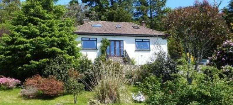 和谐住宿加早餐旅馆(Harmony)图片