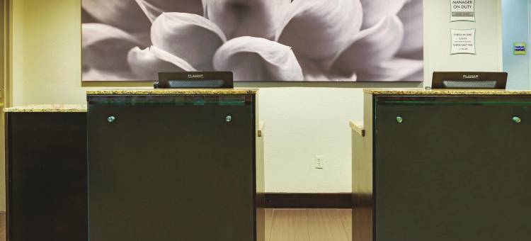 坦帕北I-75舒适套房酒店(Comfort Inn & Suites Tampa North I-75)图片