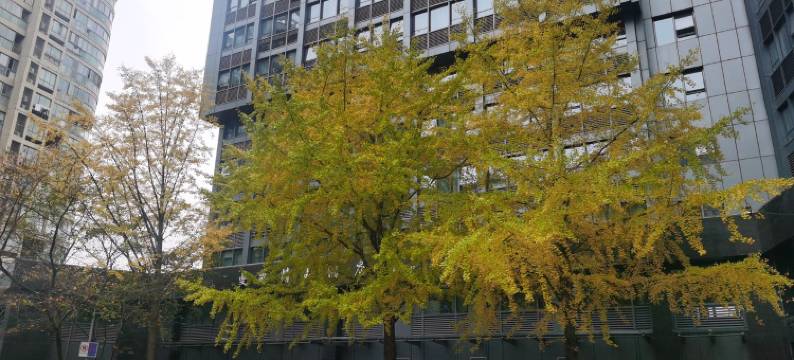 蓉姐在途公寓(王家井街分店)图片