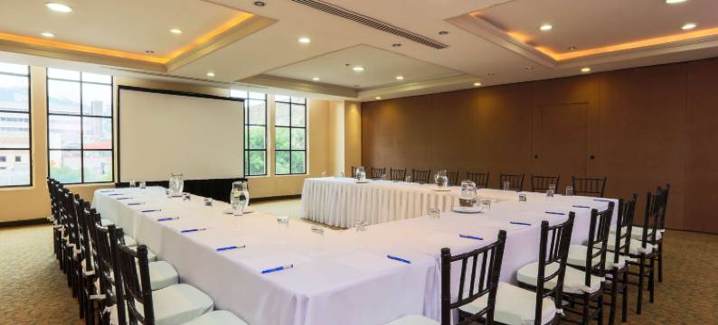 蒙特雷水晶酒店(Krystal Monterrey)图片