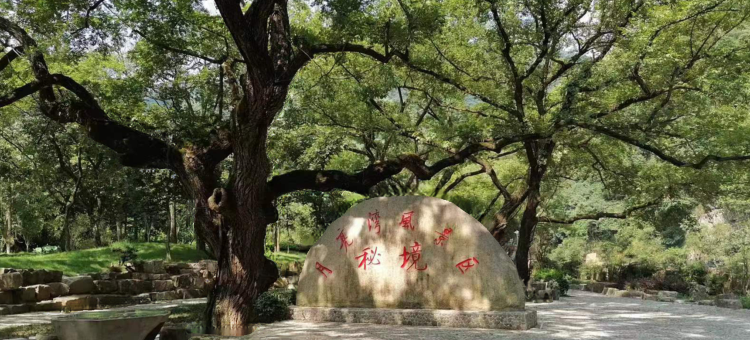 月亮湾风景区秘境酒店图片