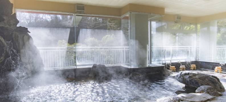 八盐温泉 八盐館(Yashiokan)图片