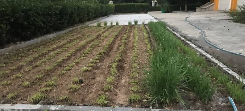 林秀度假别墅(长江路分店)图片
