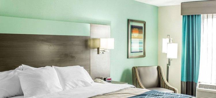 舒适酒店-近邓恩I-95(Comfort Inn Dunn Near I-95)图片