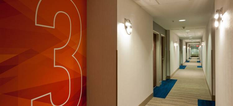 洲际酒店集团智选假日酒店及套房斯科特 - 拉斐特西(Holiday Inn Express & Suites Scott-Lafayette West)图片