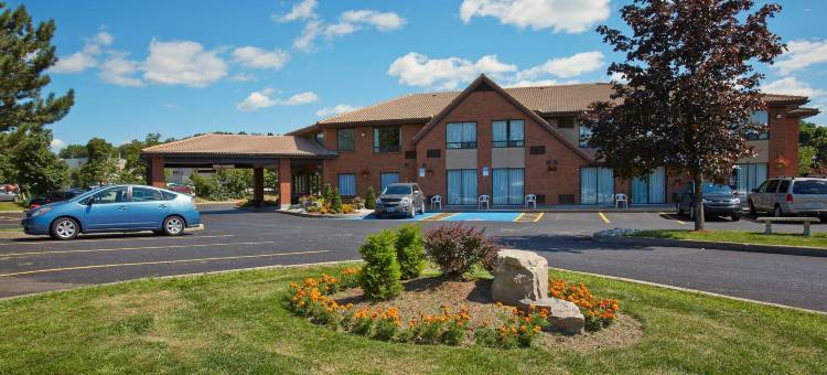 舒适酒店(Comfort Inn)图片