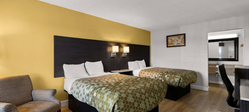 莫里斯敦 I-81 & I-40 斯普利特白松伊克诺旅馆(Econo Lodge White Pine Morristown I-81 & I-40 Split)图片