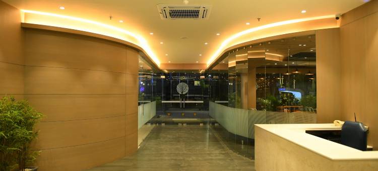 布鲁艾维酒店(Hotel Blueivy Anand)图片