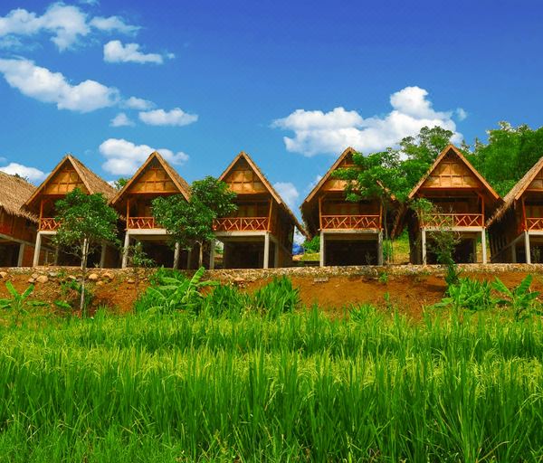 Arusliar Nusa Standard Cottages(Arusliar Nusa Standard Cottages)图片