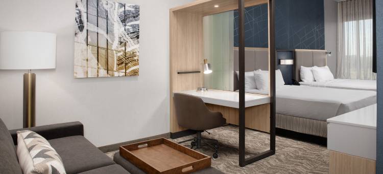 费耶特维尔 I 95万豪春丘酒店(SpringHill Suites Fayetteville I 95)图片