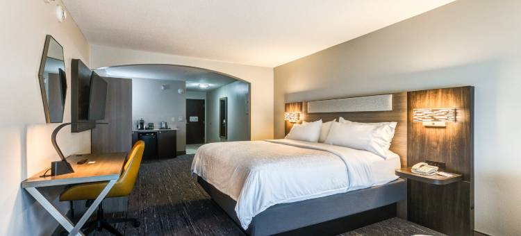 智选假日套房酒店盐沼 - 堪萨斯城NE(Holiday Inn Express & Suites Salina)图片