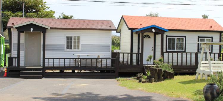 济州感之家旅馆(Jeju Feel House)图片