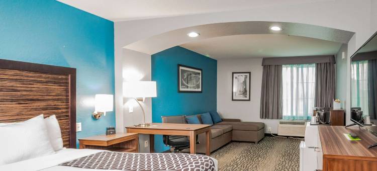 汤博尔拉昆塔温德姆套房酒店(La Quinta Inn & Suites by Wyndham Tomball)图片