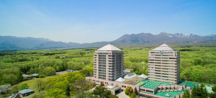 Epinard那须温泉酒店(Hotel Epinard Nasu)图片