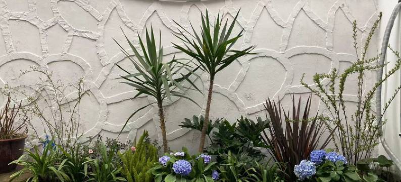 白鹿镇星空民宿(樵人街分店)图片