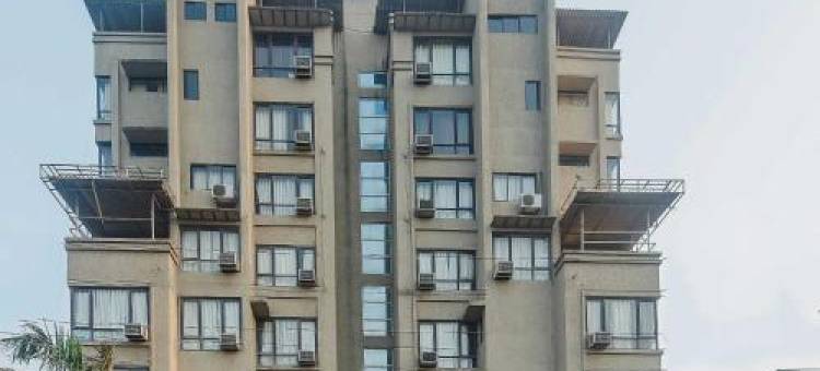 Collection O Phoenix图片