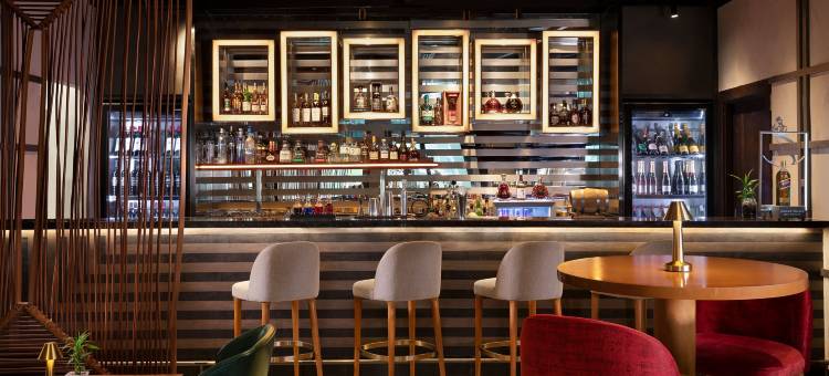 拉各斯伊凯贾万豪酒店(Lagos Marriott Hotel Ikeja)图片