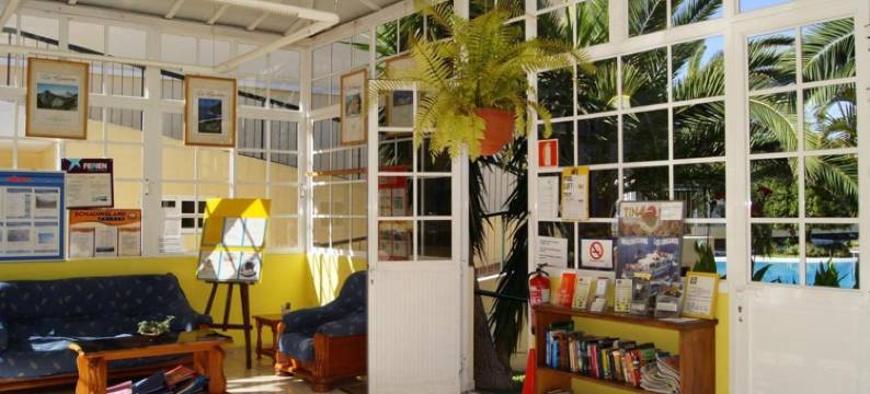 劳里西尔瓦入住公寓(Apartamentos Checkin Laurisilva)图片