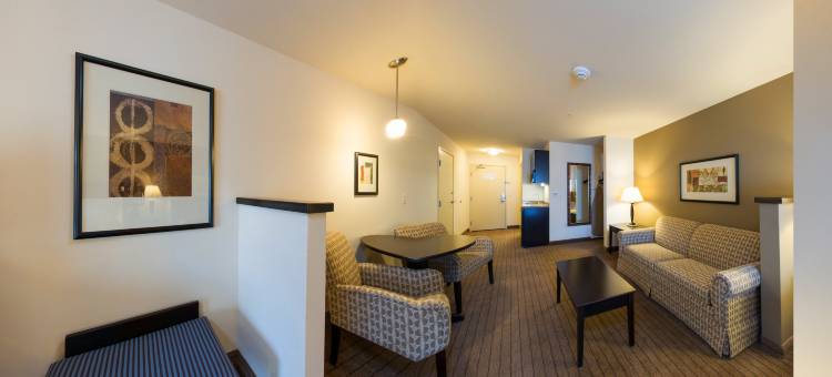 智选假日套房酒店埃尔帕索机场区(Holiday Inn Express & Suites El Paso Airport)图片