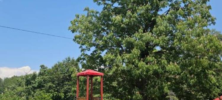 Misty peaks resorts图片