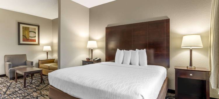 霍比机场贝斯特韦斯特优质套房酒店(Best Western Plus Hobby Airport Inn  Suites)图片