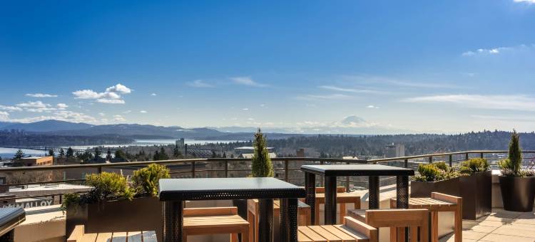希尔顿研究生酒店西雅图(Graduate by Hilton Seattle)图片
