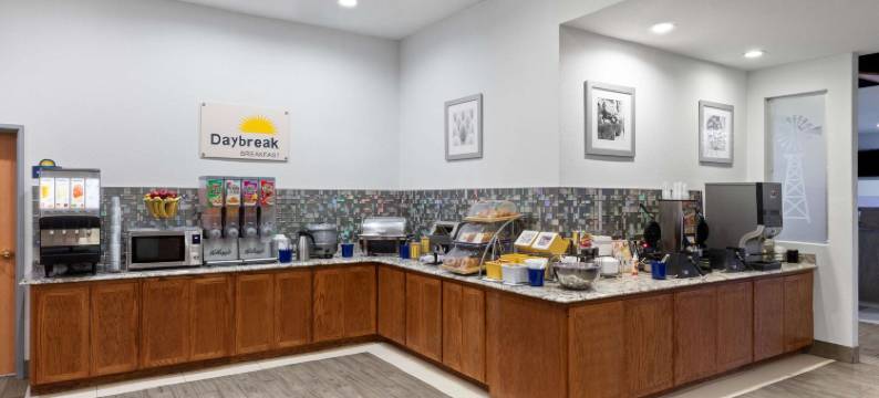 拉伯克医疗中心温德姆戴斯套房酒店(Days Inn & Suites by Wyndham Lubbock Medical Center)图片
