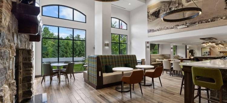 希尔顿欢朋套房酒店-乔治湖(Hampton Inn & Suites Lake George)图片