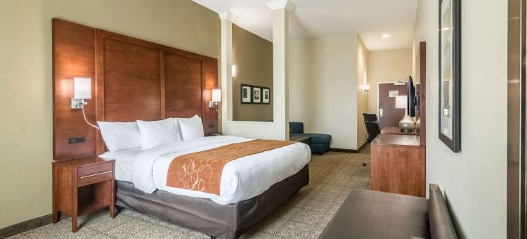 舒适套房酒店梅里迪恩和I-40(Comfort Suites Meridian and I-40)图片