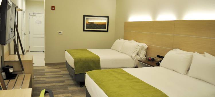 布莱斯智选假日套房酒店(Holiday Inn Express & Suites Price)图片