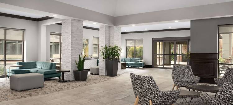 杰克逊维尔市中心南岸希尔顿花园酒店(Hilton Garden Inn Jacksonville Downtown Southbank)图片