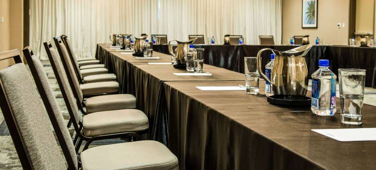 迈克艾伦会议中心坎布里亚酒店(Cambria Hotel McAllen Convention Center)图片