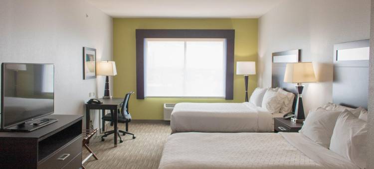 坦普尔医疗中心区智选假日套房酒店(Holiday Inn Express & Suites TEMPLE - MEDICAL CENTER AREA by IHG)图片