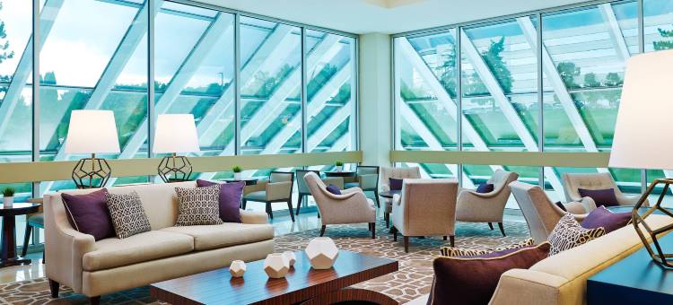 底特律诺维喜来登酒店(Sheraton Detroit Novi Hotel)图片