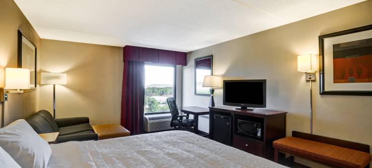 蒙太奇山斯克兰顿欢朋酒店(Hampton Inn Scranton at Montage Mountain)图片