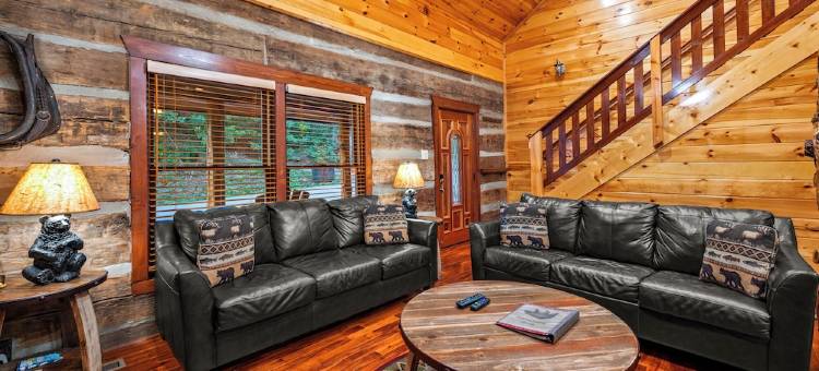 Charming Log Cabin Escape! 4 King beds, Min to Gatlinburg, Frequent bear visits!图片