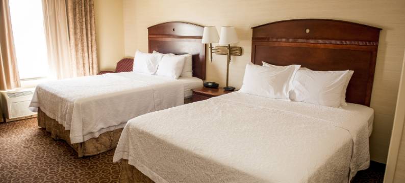 普洛弗史蒂文角欢朋酒店(Hampton Inn Plover-Stevens Point)图片