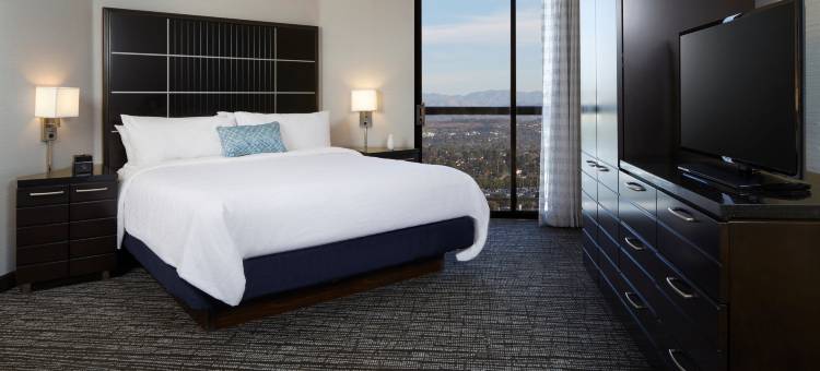 洛杉矶国际机场北安泊套房酒店(Embassy Suites by Hilton Los Angeles International Airport North)图片