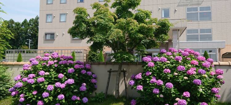 Business Hotel Ajisai图片