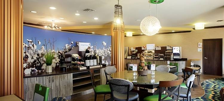 智选假日套房酒店佩里 - 商城区(Holiday Inn Express & Suites Perry-National Fairground Area)图片